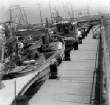 Metairie/BucktownFishingFleet.jpg