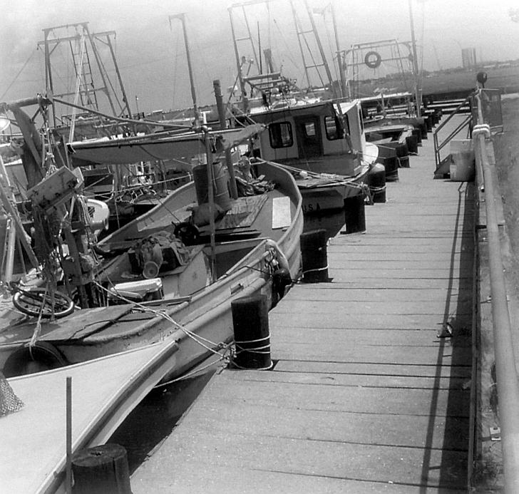 Metairie/BucktownFishingFleet.jpg
