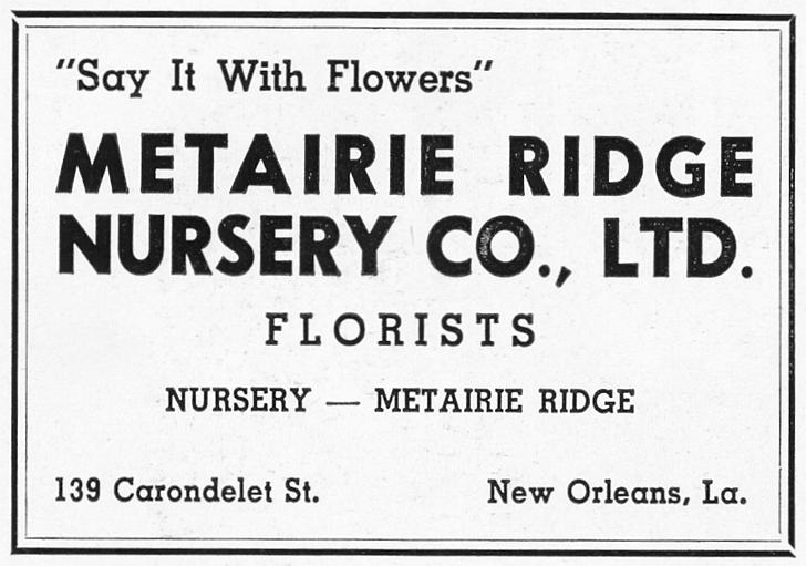 Metairie/Streetcar2.jpg