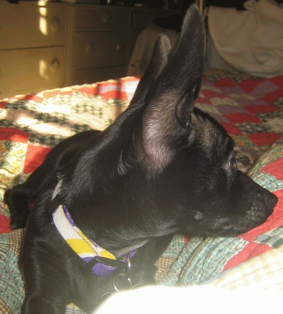 November2007/Nap1.jpg