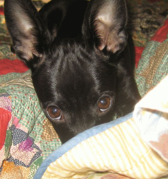 November2007/nap2.jpg