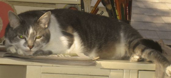November2007/nap5.jpg