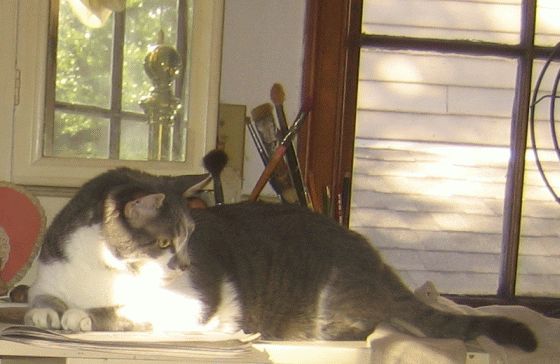 November2007/nap6.jpg